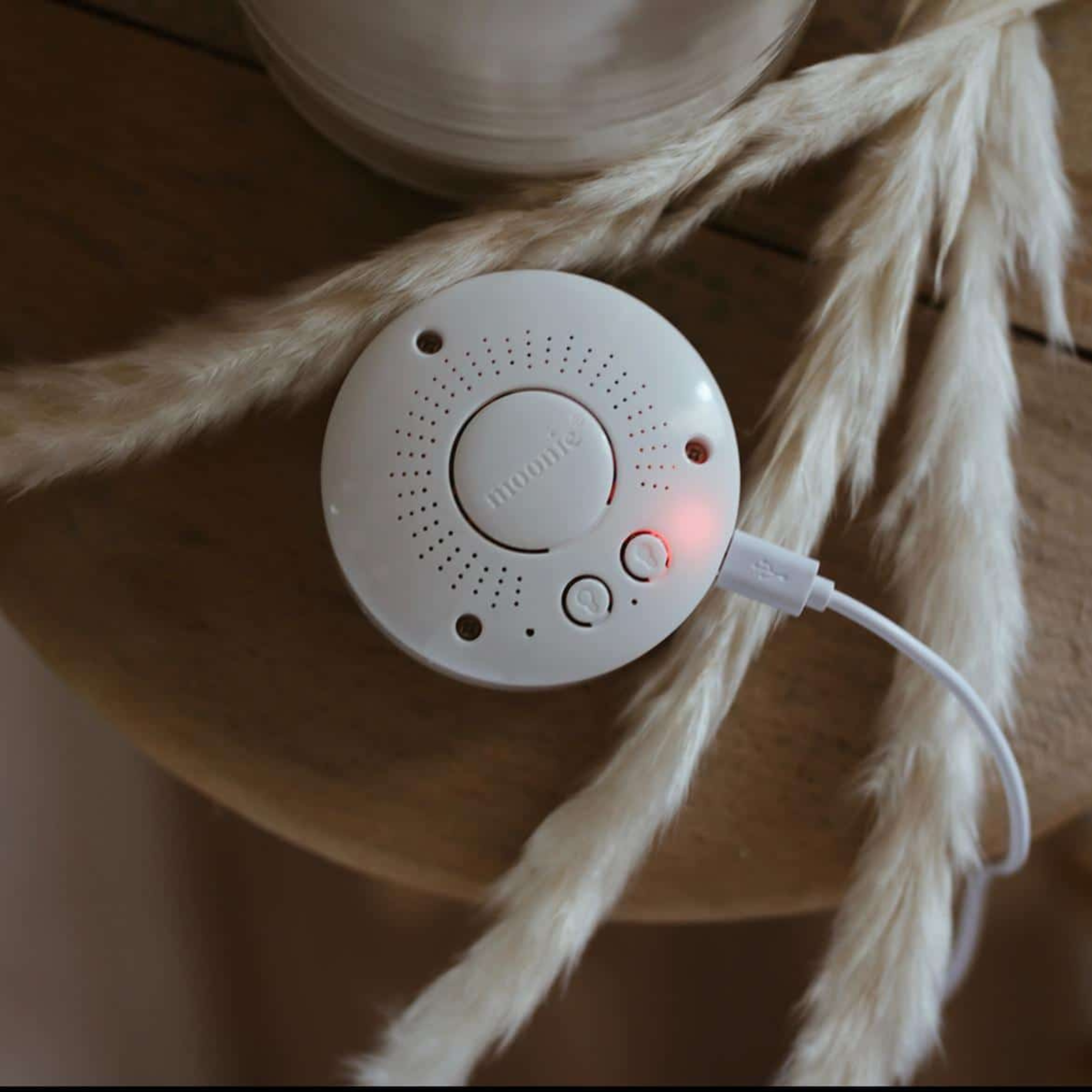 MOONIE SILVER BUNNY5