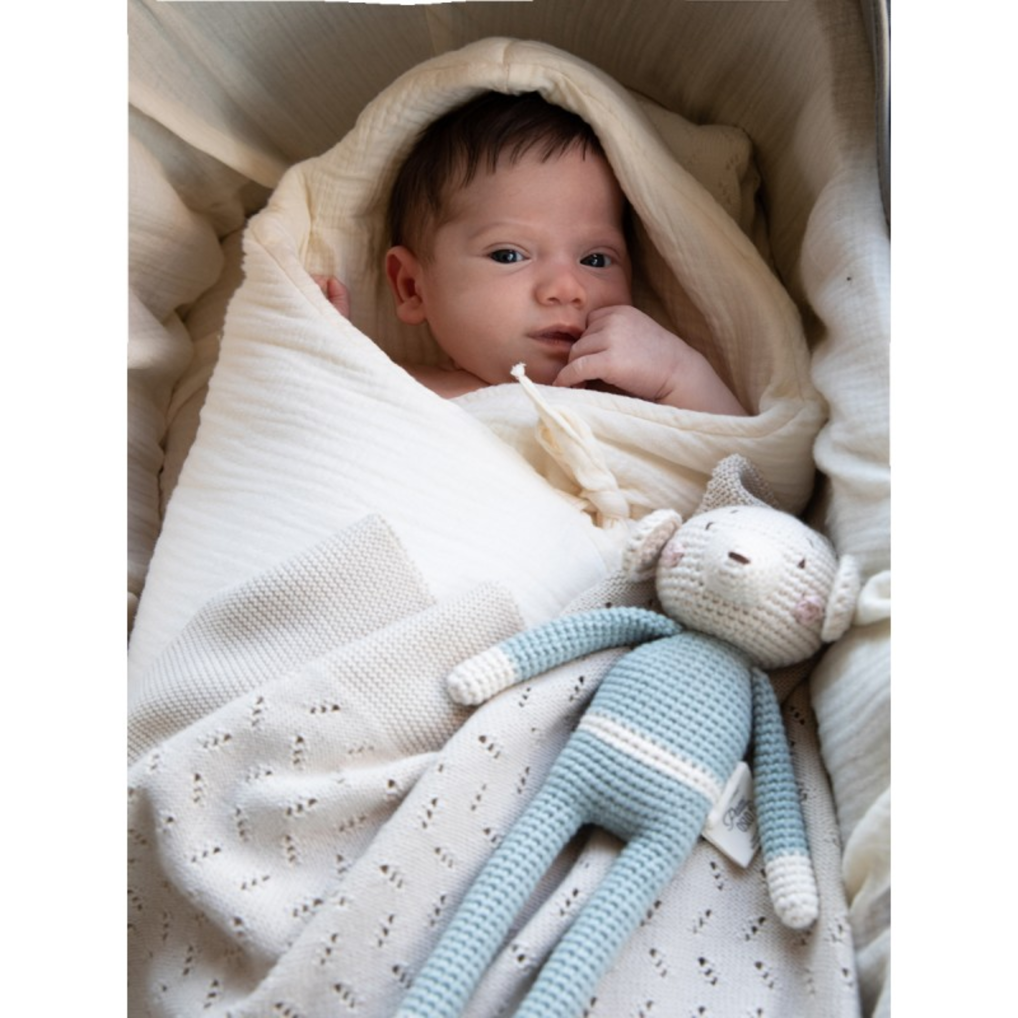 שמיכת חיבוקית מכותנה אורגנית – בצבע לבן אייבורי