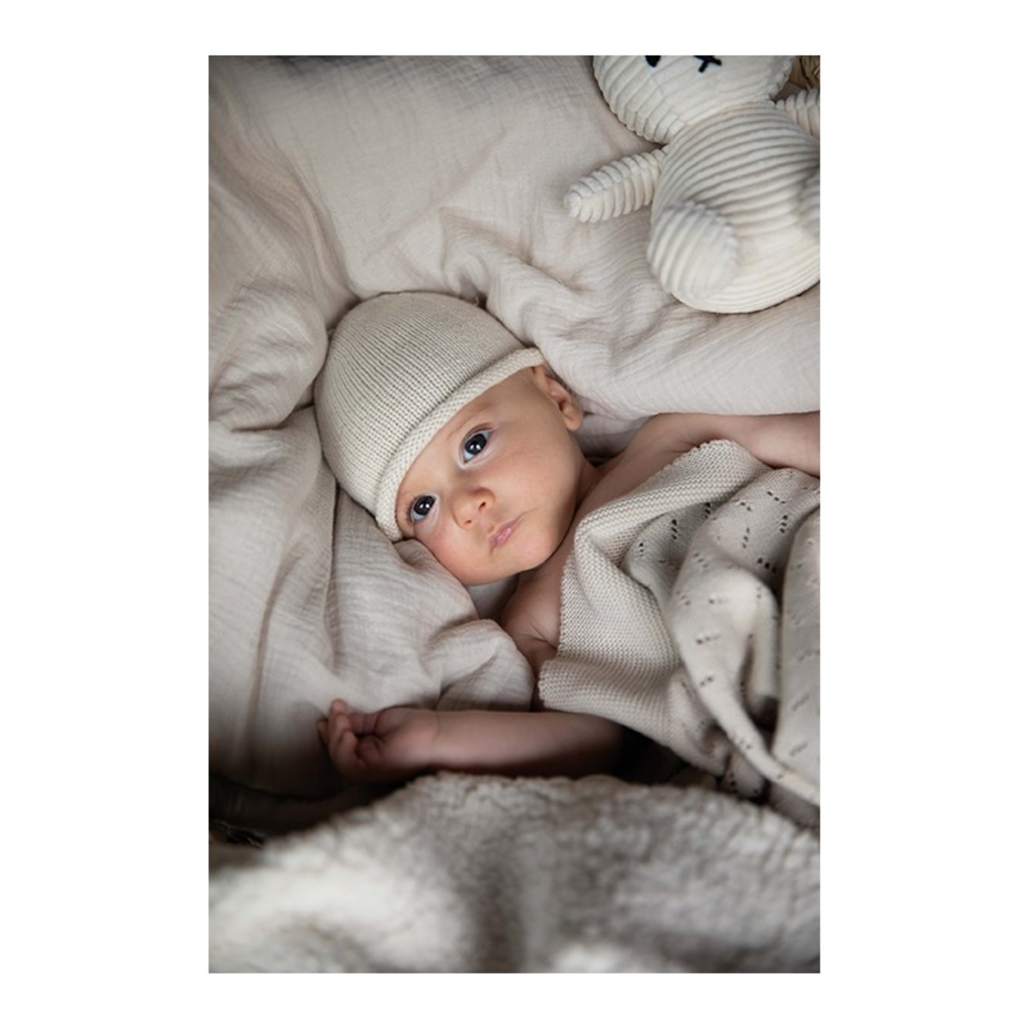 שמיכת סריג מכותנה אורגנית – בצבע לבן אייבורי